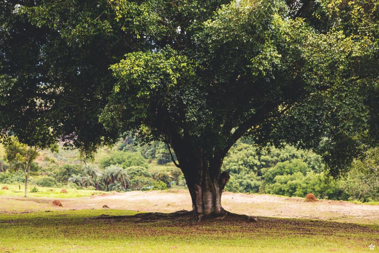 Pousada E Espaco Flor Da Serra Cruzeiro  Εξωτερικό φωτογραφία