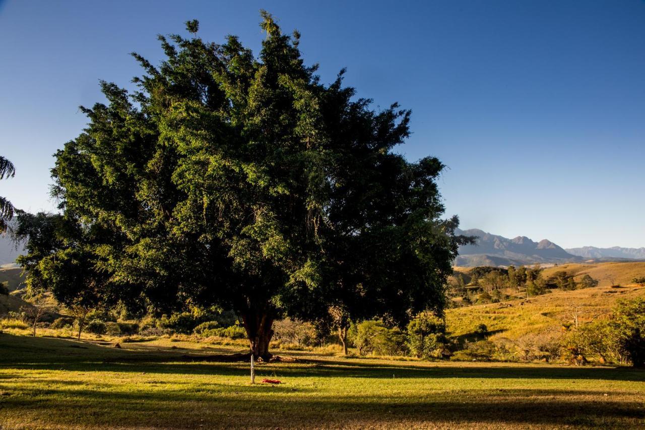 Pousada E Espaco Flor Da Serra Cruzeiro  Εξωτερικό φωτογραφία